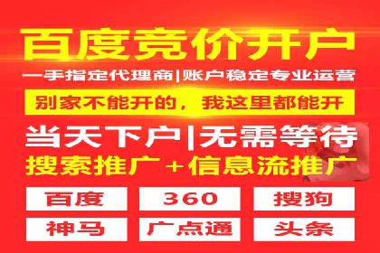搜索引擎营销（SEM）的推广优化技巧——案例研究