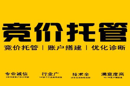 旅游行业SEM推广的实战案例分析